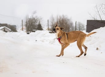 Kai sucht Menschen zum lieben