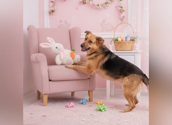 Zauberhafte Nadia sucht ihre menschen