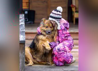 Bekommt Rakhat eine 2.Chance?!