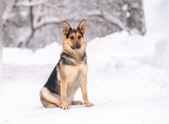 Kann Vishnja dich verzaubern ?!