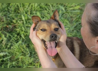 Jim sucht sein zu hause für immer