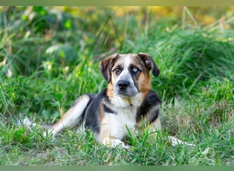 Tyson will nochmal seine ganze Liebe zeigen