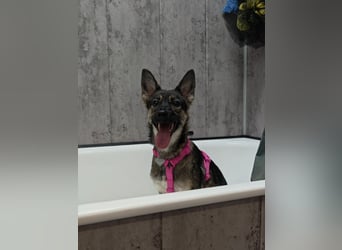 Charmante Betty sucht Familie