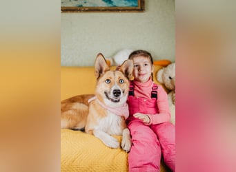 Aktive Mira sucht aktive Menschen