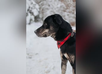 Odin sucht End platz!