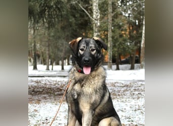 Selbstbewusste Tosya sucht aktive Menschen