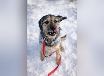 Belle hat großes Herz zu Verschenken