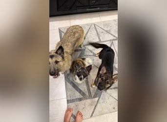 Charmante Betty sucht Familie