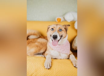 Aktive Mira sucht aktive Menschen