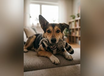 Elis ist schüchtern aber sie hat so viel Liebe zu geben....