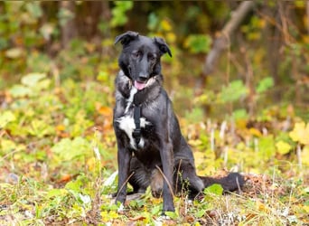 Wunderschöne Jasmine mochte geliebt werden