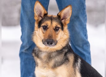 Kann Vishnja dich verzaubern ?!