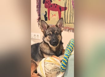 Charmante Betty sucht Familie