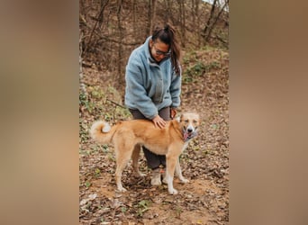 Aktive Mira sucht aktive Menschen