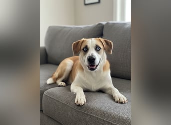 Jessie sucht ein aktives Leben