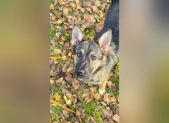 Charmante Betty sucht Familie