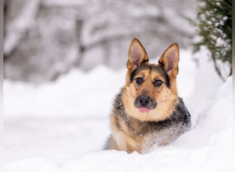 Kann Vishnja dich verzaubern ?!