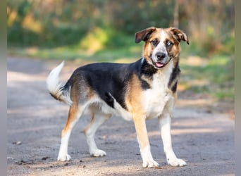 Tyson will nochmal seine ganze Liebe zeigen