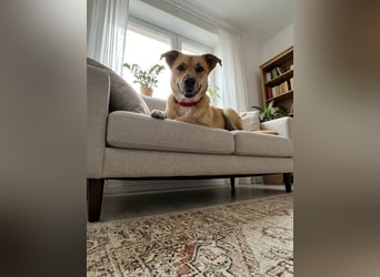 Kasper der wunderschöne...