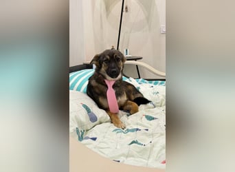 Charmante Betty sucht Familie