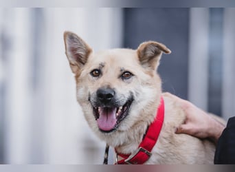 Skye treue seele sucht ....