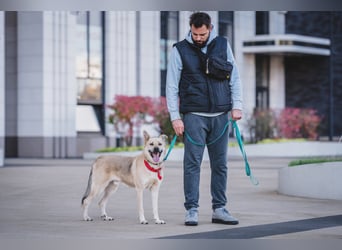 Skye treue seele sucht ....