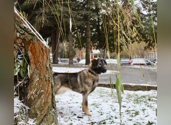 Selbstbewusste Tosya sucht aktive Menschen