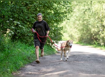 Ulan, weiches Herz wartet auf einen tollen Besitzer