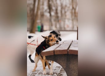 Elis ist schüchtern aber sie hat so viel Liebe zu geben....