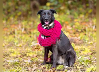 Wunderschöne Jasmine mochte geliebt werden