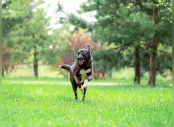 Betty will nur wärme und liebe...