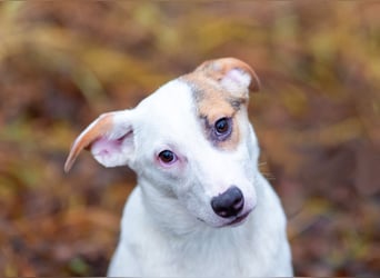 Aufgeschlossener Lord sucht aufgeschlossene Menschen