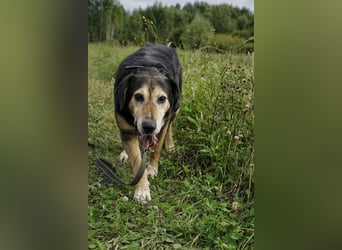 Dania sucht endplatz für immer