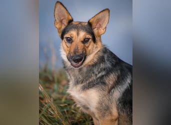 Kann Vishnja dich verzaubern ?!