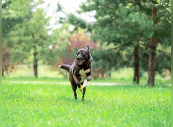 Betty will nur wärme und liebe...
