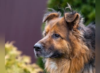 Bekommt Rakhat eine 2.Chance?!