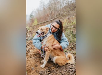 Aktive Mira sucht aktive Menschen