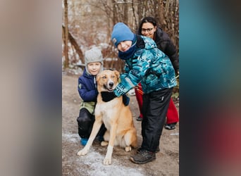 Aktive Mira sucht aktive Menschen