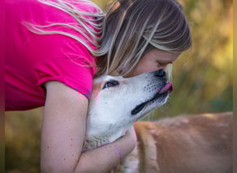 Ulan, weiches Herz wartet auf einen tollen Besitzer