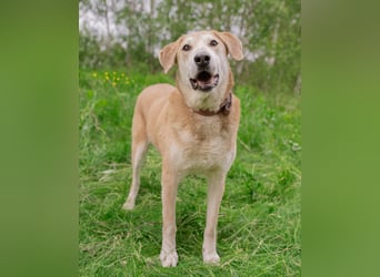 Ulan, weiches Herz wartet auf einen tollen Besitzer