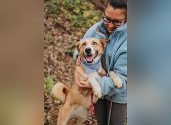 Aktive Mira sucht aktive Menschen