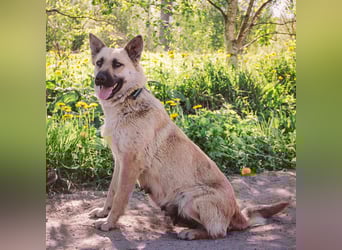 Wunderschöne Linda sucht