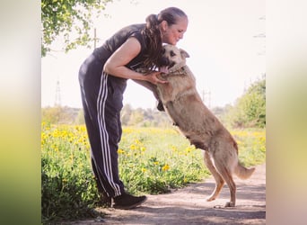 Wunderschöne Linda sucht