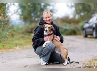 Bucks sucht menschen mit liebe und geduld