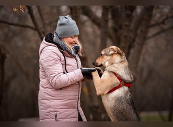 Tuchka — die sanfte Seele mit stolzem Auftreten sucht Ihr Zuhause!