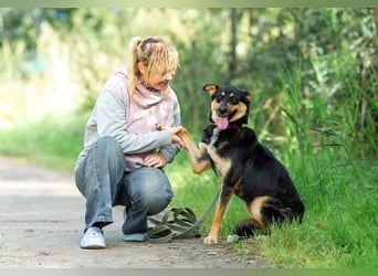 Gesellige Lexi sucht ihren platz für immer