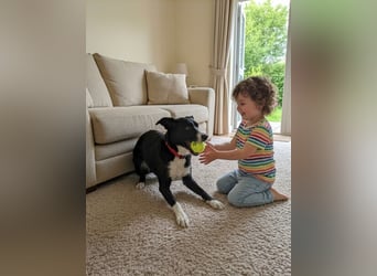 Mike sucht Traumzuhause