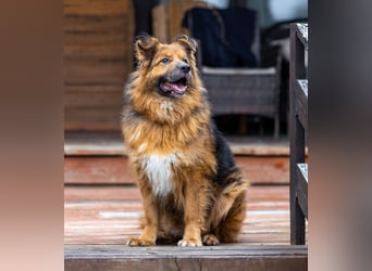 Bekommt Rakhat eine 2.Chance?!