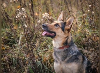 Kann Vishnja dich verzaubern ?!