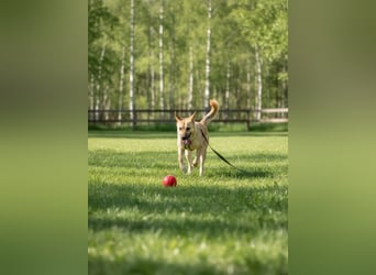 Archie möchte das Leben leben